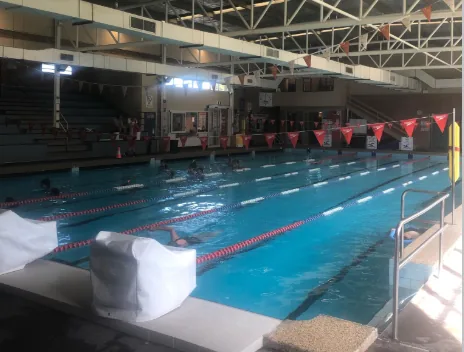 Indoor 25m pool at Toukley Aquatic Centre
